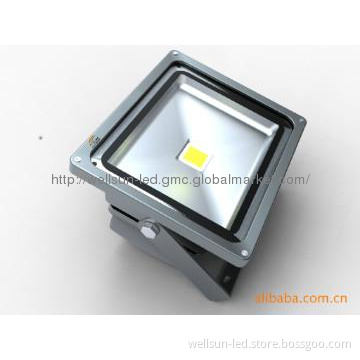50W LED Flood Light IP65 Waterproof